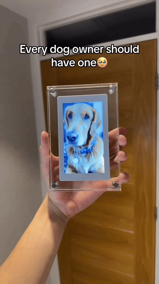 Acrylic Motion Video Frame