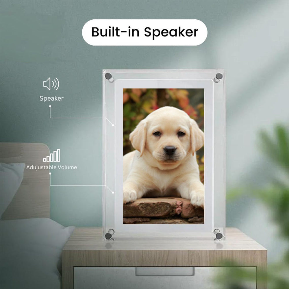 Acrylic Motion Video Frame